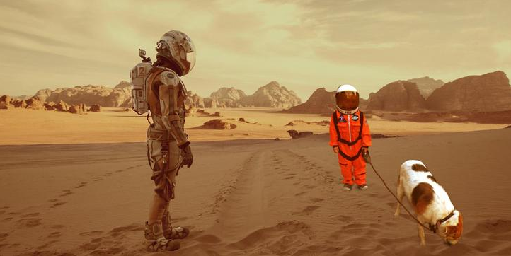 <p>Aquí, tomaron una escena de la película <em>The Martian</em>. Foto: Imgur.com/DoucheBigelo </p>