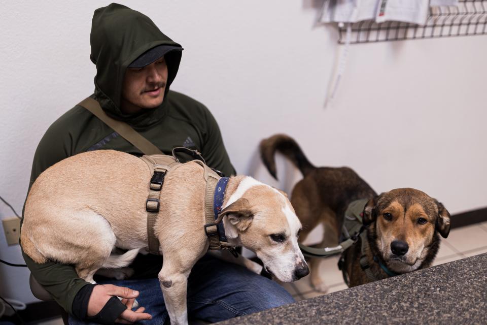 El Paso jiujitsu instructor Micah Baier sits with the former runaway Bailey (dark brown) and his other dog, Bill, on Wednesday at Gracie Barra Brazilian Jiu-Jitsu and Martial Arts in West El Paso. Bailey found her way back to the Animal Rescue League of El Paso in Canutillo three days after running away near Sunland Park, New Mexico, on Jan. 29.