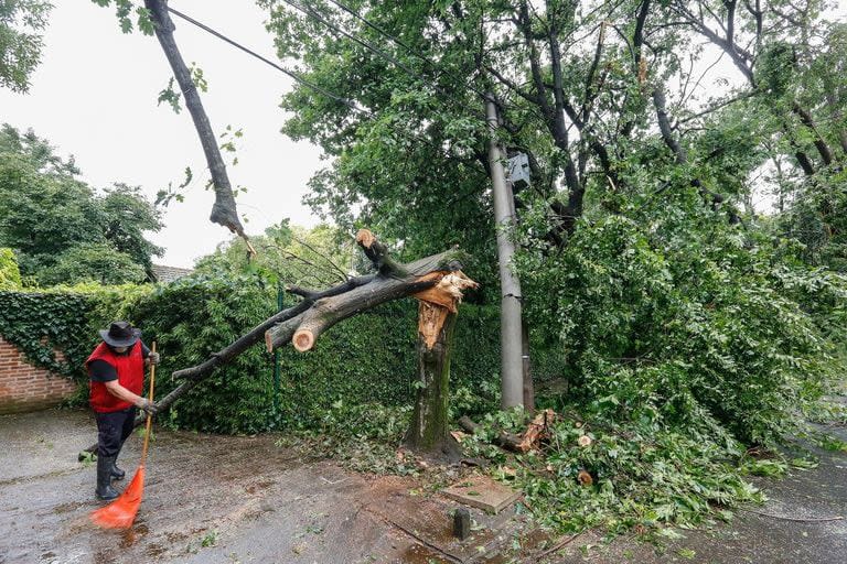 En San Isidro fueron los vecinos los primeros en comenzar los trabajos de limpieza.