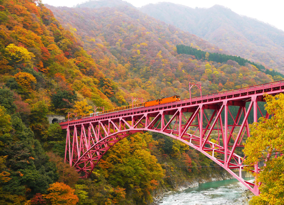 ▲  搭乘黑部峽谷鐵道小火車，來一趟秋天的鐵道童話之旅。（圖/鳳凰旅遊）