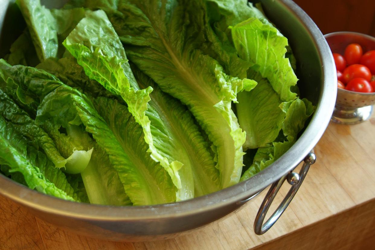 Freshly washed romaine lettuce in a stainless steel bowl on a wooden table with a small colander of cherry tomatoes in the background