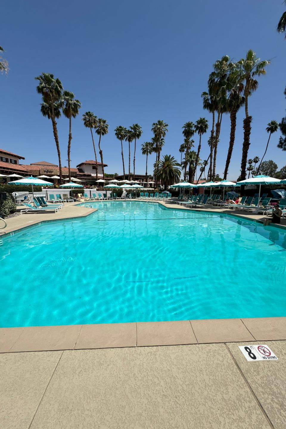 Swimming pool at a resort surrounded by palm trees and lounge chairs under clear skies