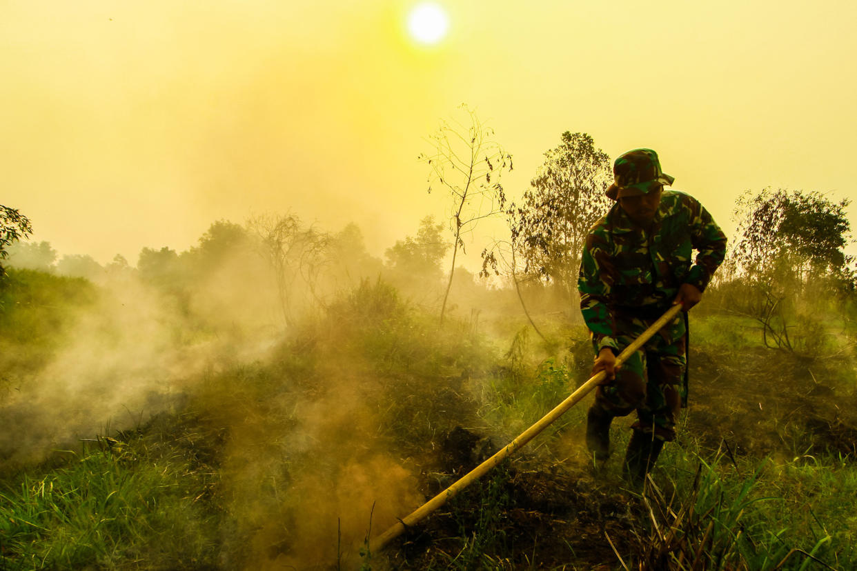 SOUTH SUMATRA, INDONESIA - SEPTEMBER 15 : Indonesian army tried to extinguish forest fire at Sungai Pinang village on September 13, 2019 in Banyuasin regency, South Sumatra province, Indonesia. Indonesia Forest fires caused parts of Sumatra to be covered with haze and included Singapore and Malaysia. Photo by M. Tohir/Sijori Images (Photo credit should read Sijori Images / Barcroft Media via Getty Images)