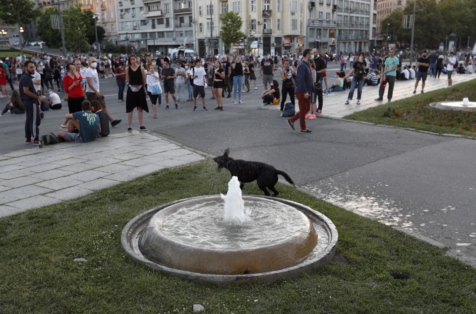 A dog plays in a water fountain during a protest in Belgrade, Serbia, Friday, July 10 2020. Serbia's President Aleksandar Vucic said Friday he's not worried about losing political power amid large protests against his handling of the coronavirus crisis and hard-line rule, but instead expressed his fear about the spread of the virus by the demonstrators. The spontaneous protests started on Tuesday when Vucic announced that Belgrade would be placed under a new three-day lockdown following a second wave of confirmed coronavirus infections. (AP Photo/Darko Vojinovic)