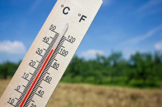 Candidates say climate change is weighing on the minds of voters in Newfoundland and Labrador. (iStock - image credit)