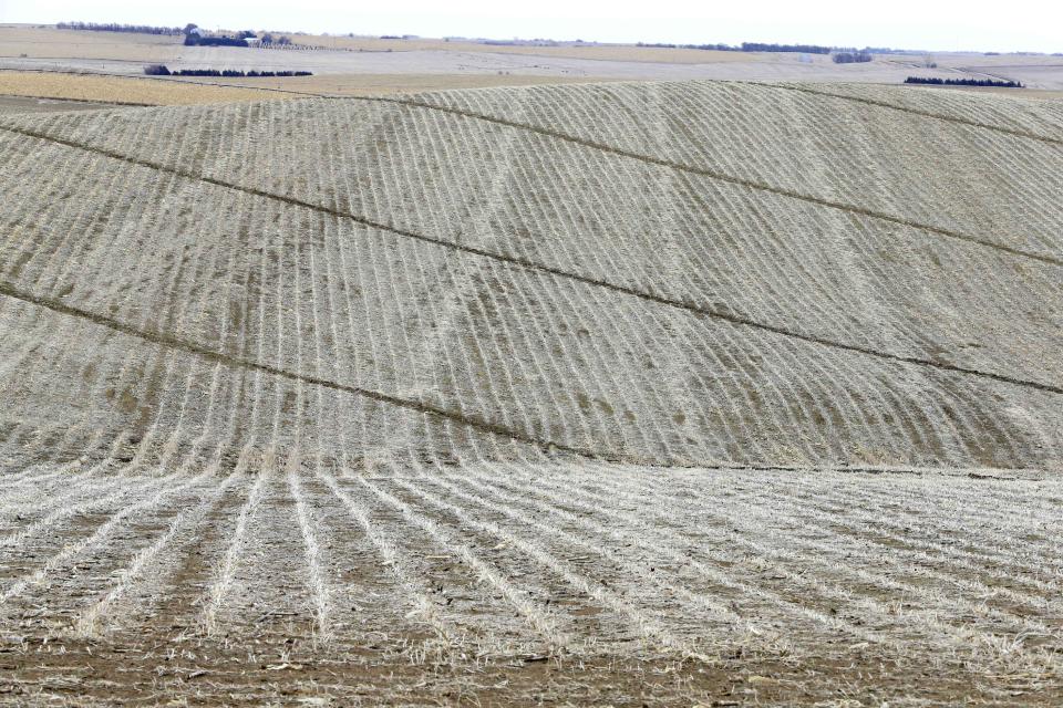 In this March 17, 2014 photo is a field owned by Tom Rutjens, a construction-company owner, in Tilden, Neb. Despite organized opposition to the Keystone XL oil pipeline in Nebraska, Rutjens is one of many landowners along the Keystone XL pipeline route that have signed agreements to let developer TransCanada run the line through their property. Many have received six-figure payments for easements and temporary crop losses while the pipeline is installed. (AP Photo/Nati Harnik)