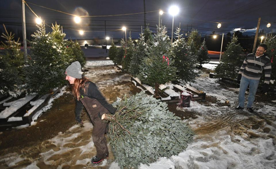 Manager Julie Yurchak, left, transports a 7-foot-tall Fraser fir tree for Brian Huster, of Erie, at A u0026 J's Trees, 5675 Wattsburg Road in Millcreek Township.