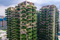 <p>Des bâtiments résidentiels "végétalisés" du sud-ouest de la Chine, avec plantes luxuriantes sur les balcons des appartements, se retrouvent envahis par leur propre végétation au point d'être fuis par leurs résidents, à Chengdu, en Chine. </p>