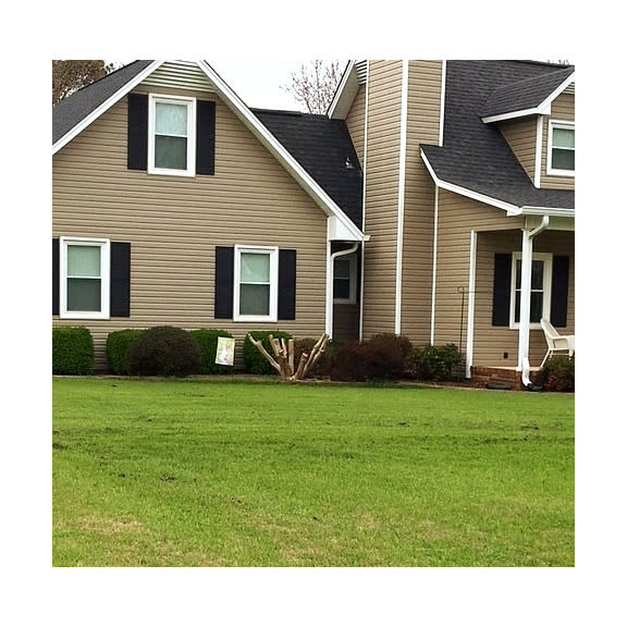 Why should a crepe myrtle suffer for being planted in the wrong place?