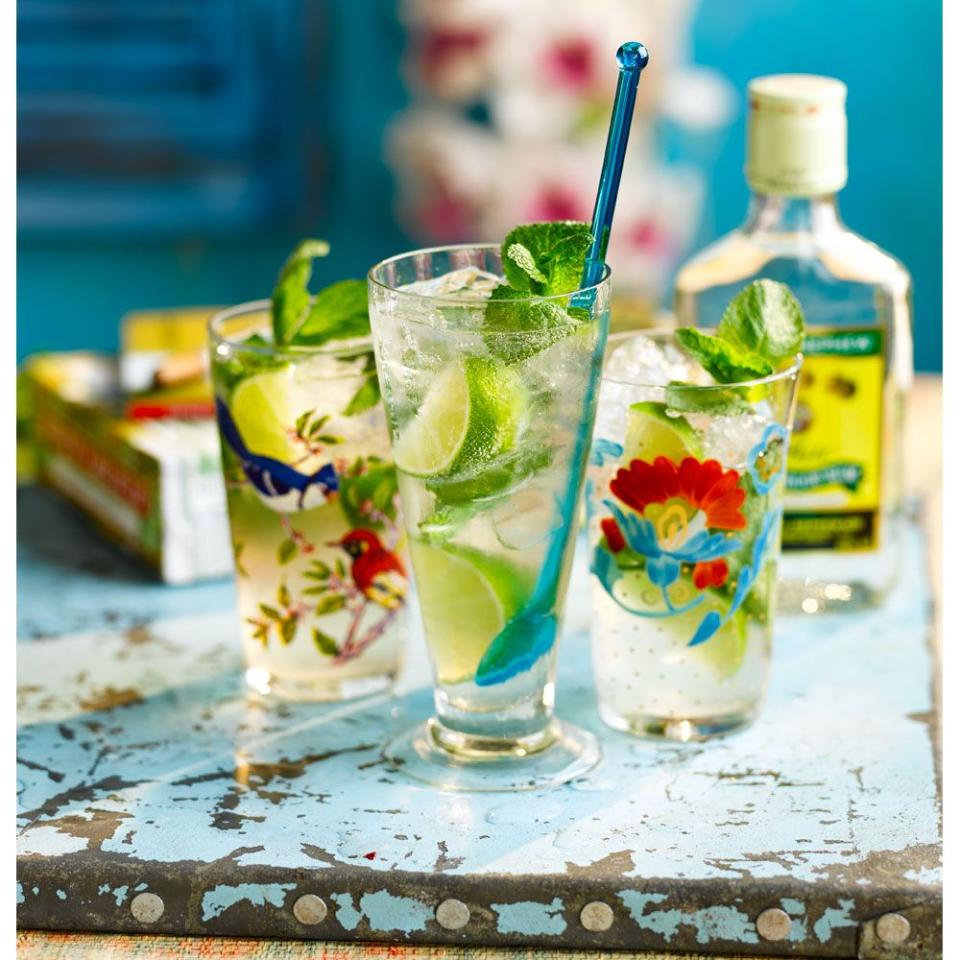 <p>The classic cocktail made with mint leaves, lime and rum.</p><p><strong>Recipe: <a href="https://www.goodhousekeeping.com/uk/food/recipes/a560343/mojito/" rel="nofollow noopener" target="_blank" data-ylk="slk:Mojito;elm:context_link;itc:0;sec:content-canvas" class="link ">Mojito</a></strong></p>