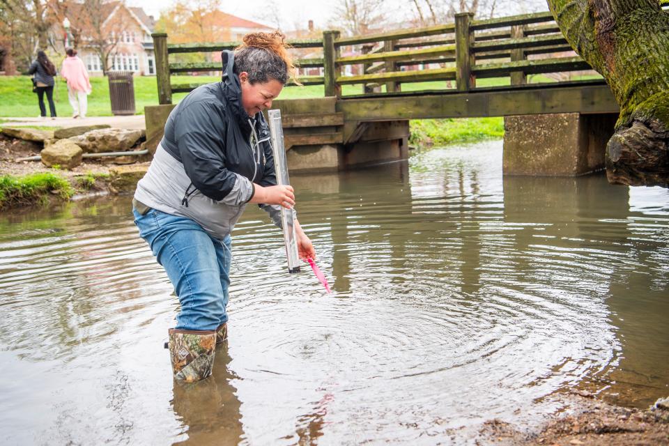 Megan Gokey looks at a water sample she took during the Campus River clean-up on Friday, April 12, 2024. The types of insects found in the river can help deteremine the level of pollution.