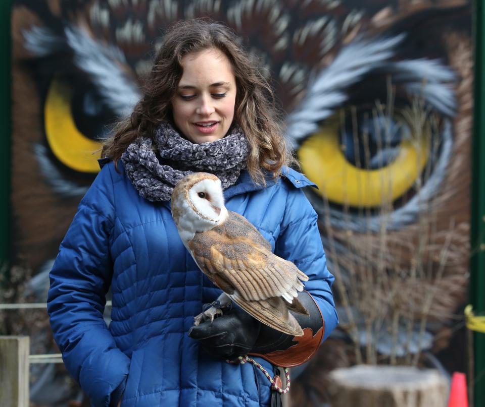 Volunteer Heather Natola takes Melinda, a barn owl, out for a walk around the holding enclosures at Wild Wings Inc., located in Mendon Ponds Park in Honeoye Falls Tuesday, Dec. 18.