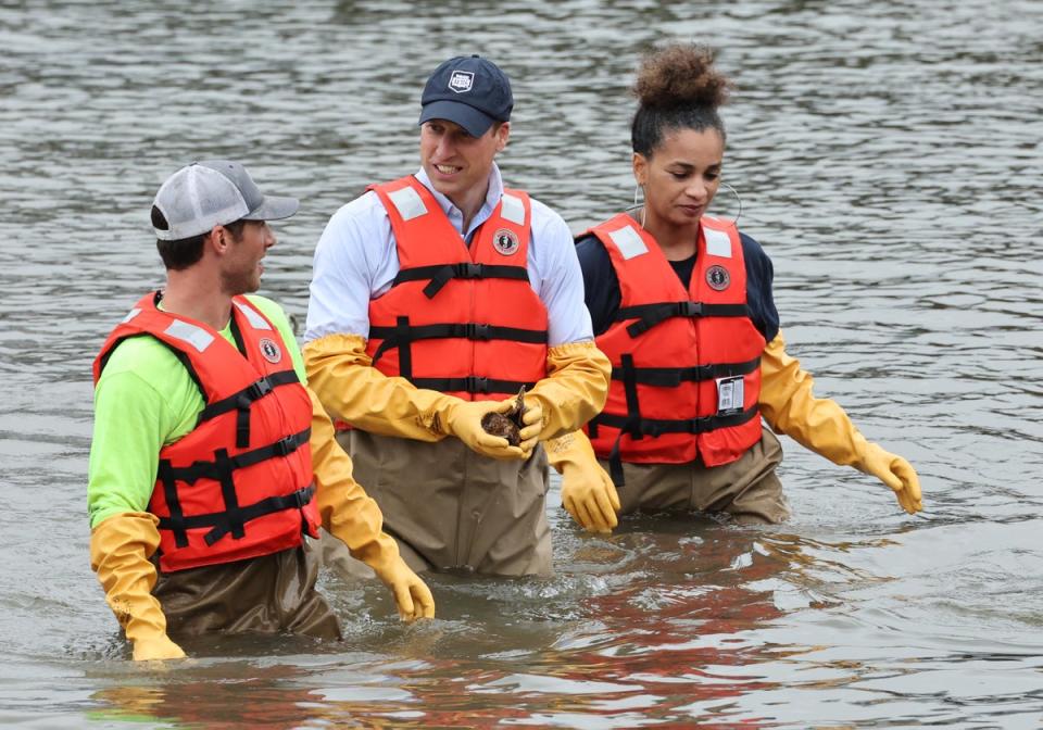 William, Prince of Wales, walks in the water as he visits the Billion Oyster Project in New York City on September 18, 2023 (Getty Images)