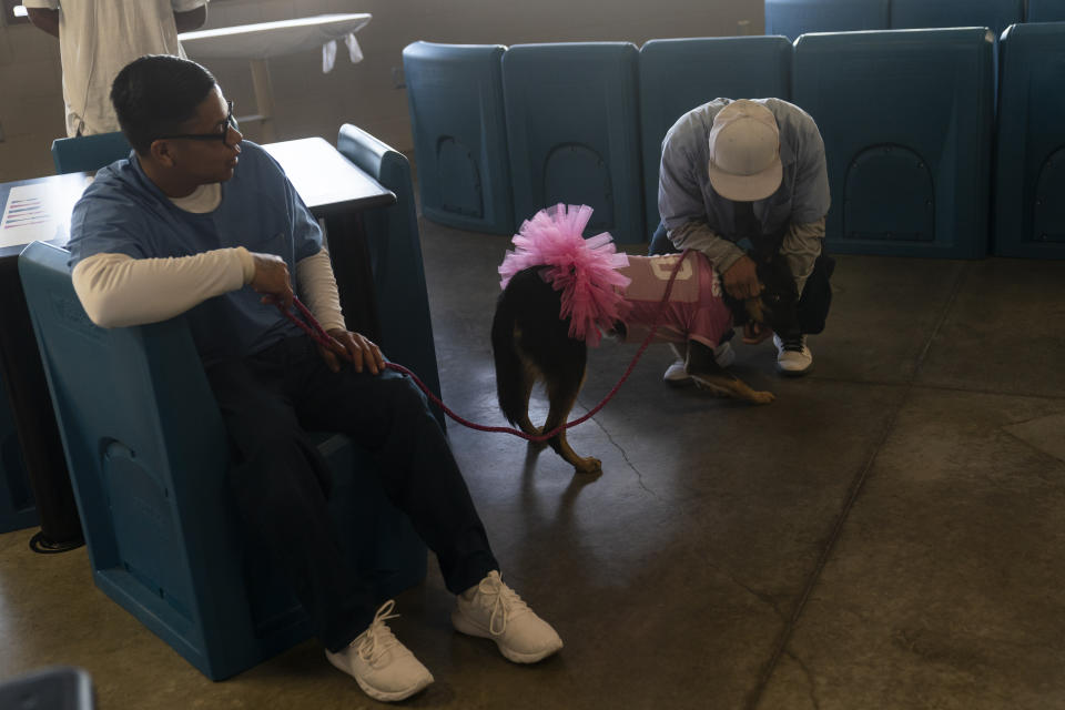 Prisoner Miguel Nunez, left, watches as Rufus Delgado plays with Nala, an at-risk shelter dog being trained to be adopted, at Valley State Prison in Chowchilla, Calif., Friday, Nov. 4, 2022. In a nation that incarcerates roughly 2 million people, the COVID pandemic was a nightmare for prisons. Overcrowding, subpar medical care and the ebb and flow of prison populations left most places unprepared to handle the spread of the highly contagious virus. (AP Photo/Jae C. Hong)