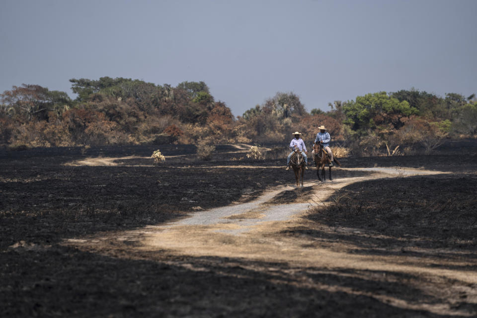 FILE - Residents mounted on horses ride past fields charred by wildfires, amid a prolonged drought in La Tuna, Veracruz state, Mexico, May 18, 2024. (AP Photo/Felix Marquez, File)