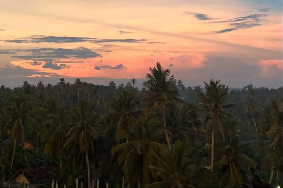  (Blissful sunsets dropping over the jungle)