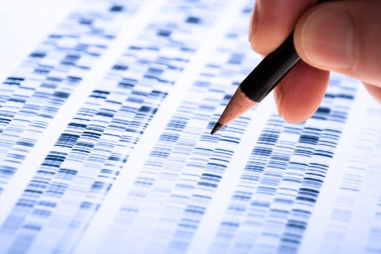 <span class="caption">Polygenic scores can have a good amount of predictive power.</span> <span class="attribution"><span class="source">gopixa/Shutterstock</span></span>