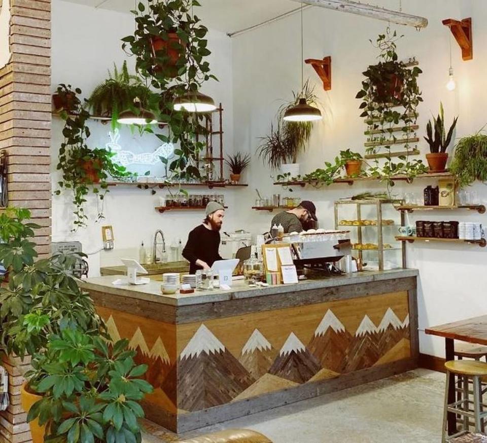 An example of the Emerald Corner plantscape design at Ember Goods, a coffee shop and retailer in downtown Olympia.