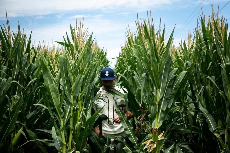 Chicago's Adrian Sampson walks out of the corn before a Major League Baseball game against Cincinnati Reds on Thursday at the Field of Dreams in Dyersville, Iowa.