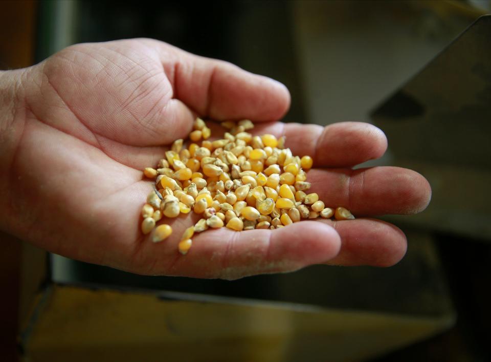 Popcorn is processed at the Jolly Time plant in Schaller, near the heart of Iowa's popcorn country.