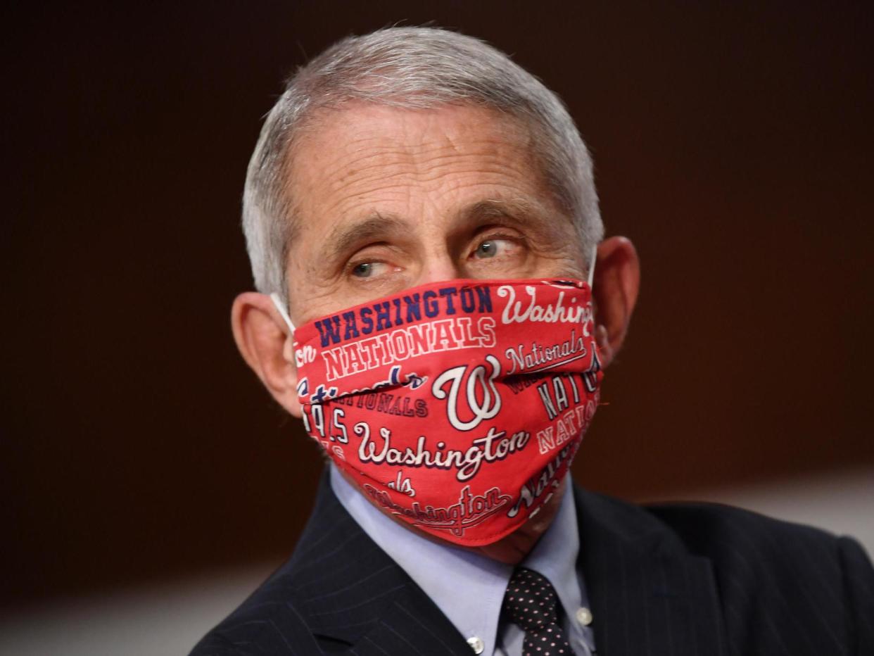 Dr Anthony Fauci, prepares to testify at a hearing of the Senate Health, Education, Labour and Pensions Committee on 30 June: (2020 Getty Images)