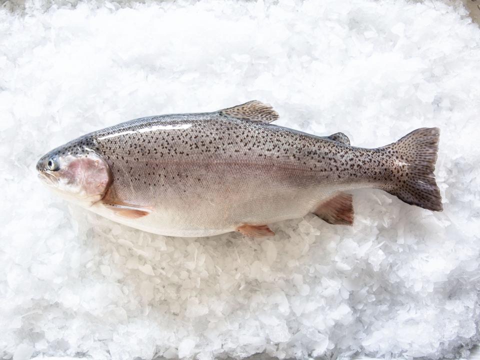 Singapore Airlines and Hudson Valley Fisheries.