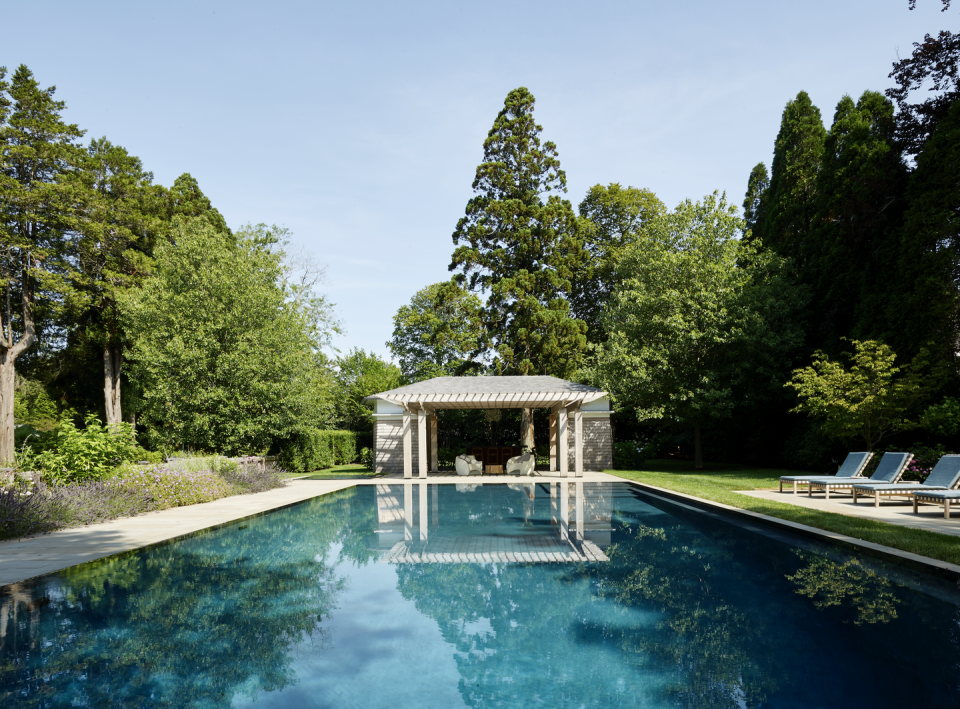 swimming pool designs verdant setting