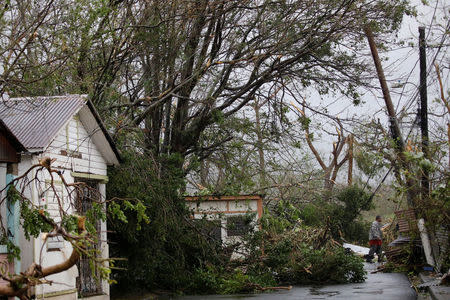 A man walks next to damaged houses and fallen trees after the area was hit by Hurricane Maria in Guayama, Puerto Rico September 20, 2017. REUTERS/Carlos Garcia Rawlins