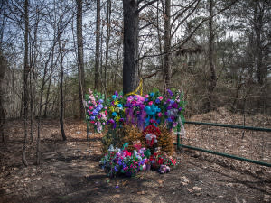 A 2015 memorial for Jessica Chambers at the site of her death in Courtland, Mississippi.