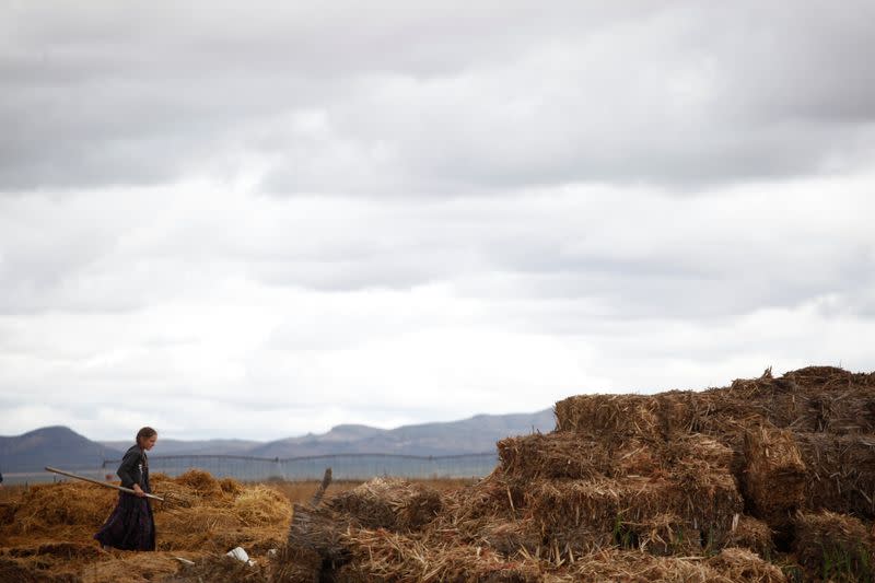 The Wider Image: In Mexico, a decade of images shows Mennonites' traditions frozen in time