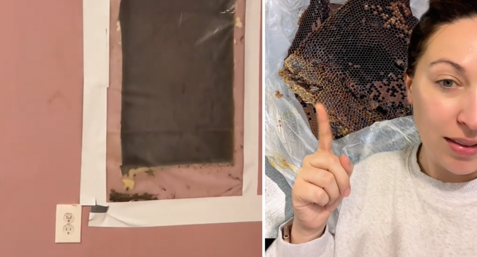 The hole is sealed yet bees can be seen crawling around inside (left). The homeowner points to the large bin bag of honeycomb (right). 