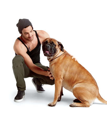 A Big- Dog for a Big Man: Bullmastiff