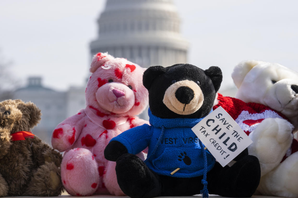 UNITED STATES - FEBRUARY 2: Teddy bears, meant to represent West Virginia children, appear on the National Mall during an event with the Unbearable Campaign to urge Congress to expand the Child Tax Credit on Wednesday, February 2, 2022. (Photo By Tom Williams/CQ-Roll Call, Inc via Getty Images)
