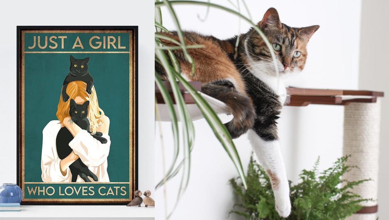 20 things every self-proclaimed cat lady needs