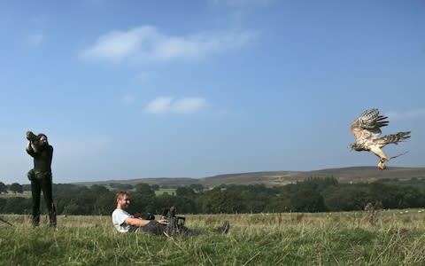 Helen Macdonald training a goshawk - Credit: BBC