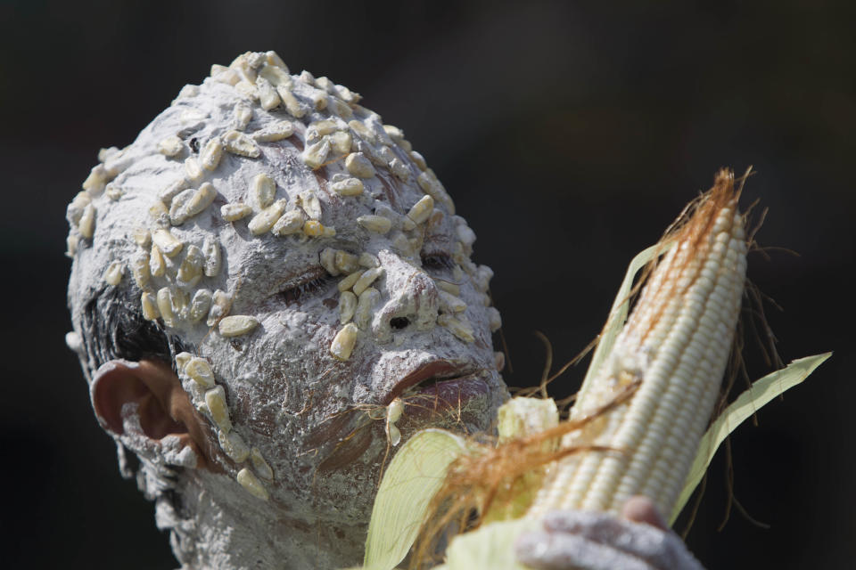 El artista mexicano Brama Santos en un performance sobre el maiz en el año 2011 cuando en el Día del Maiz varias organizaciones cuestionaron la importación de maíz transgénico a México. (AP Photo/Moises Castillo)