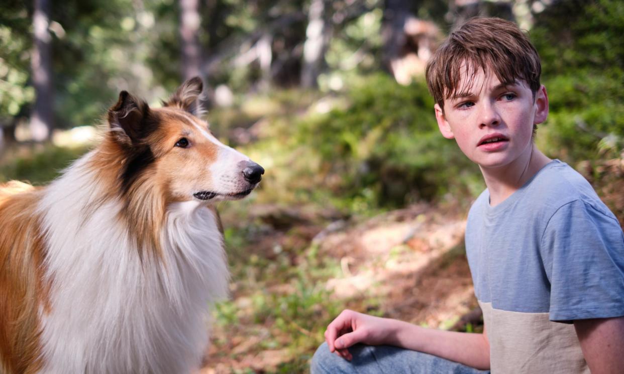<span>It’s less shaggy dog, more perfectly groomed … Bandit as Lassie and Nico Marischka as Flo in Lassie: A New Adventure.</span><span>Photograph: Oliver Oppitz</span>