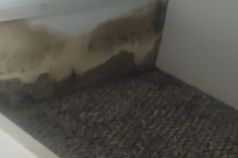 Mould around the bedroom skirting boards