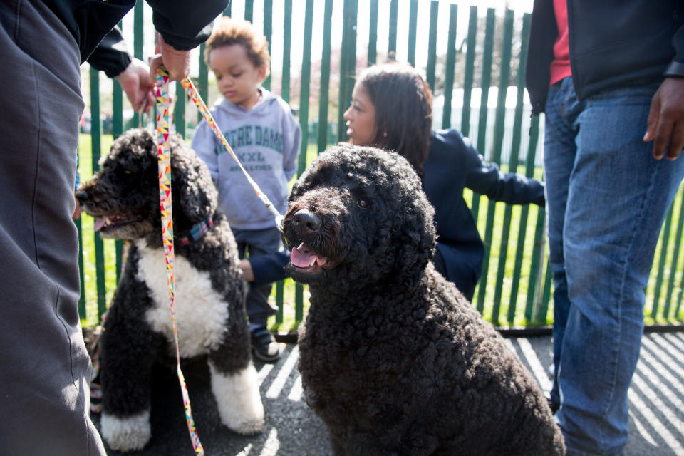 Obama Easter Egg Roll