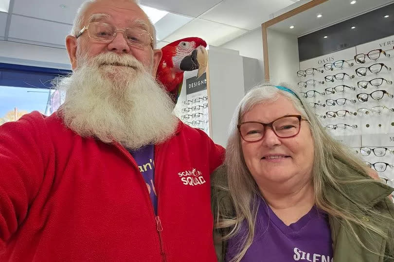 Charlie the green-winged Macaw helps his owners at the opticians