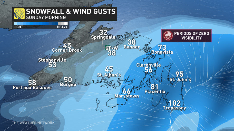 Newfoundland snow wind Sunday AM