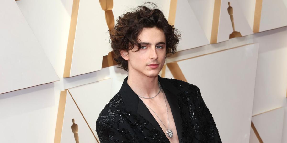 Timothée Chalamet Rocks Shimmering Shirtless Look at 2022 Oscars