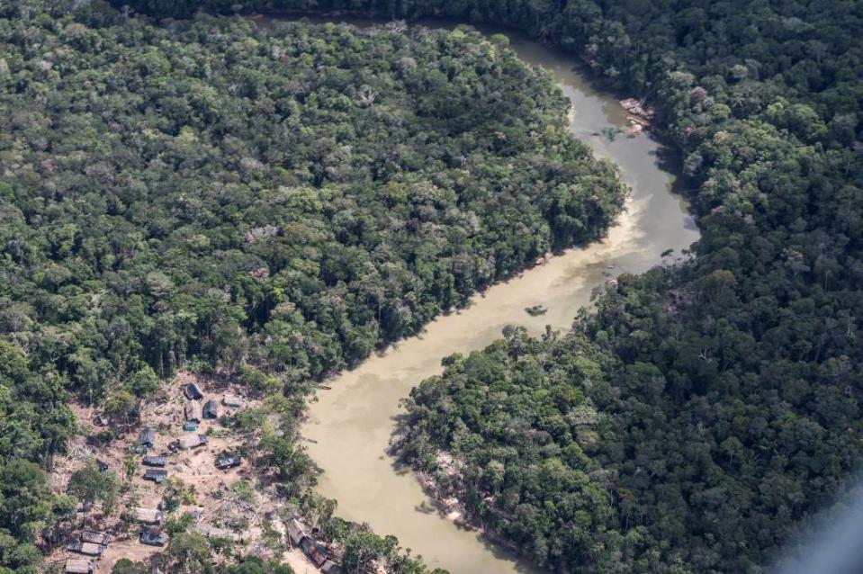 Photo d’illustration de la jungle amazonienne. 