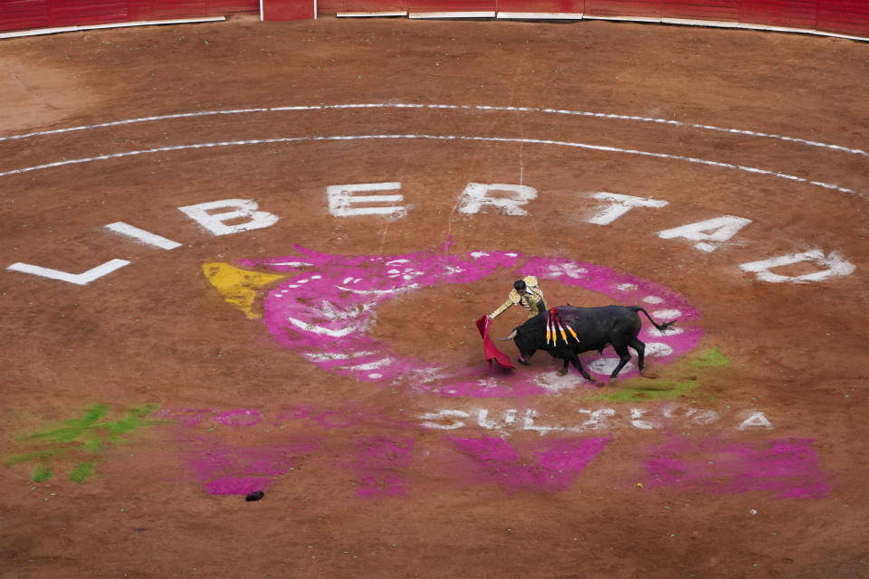 A bullfighter performs at the Plaza Mexico, in Mexico City, Sunday, Jan. 28, 2024. Bullfighting returned to Mexico City after the Supreme Court of Justice overturned a 2022 ban that prevented these events from taking place in the capital. (AP Photo/Fernando Llano)