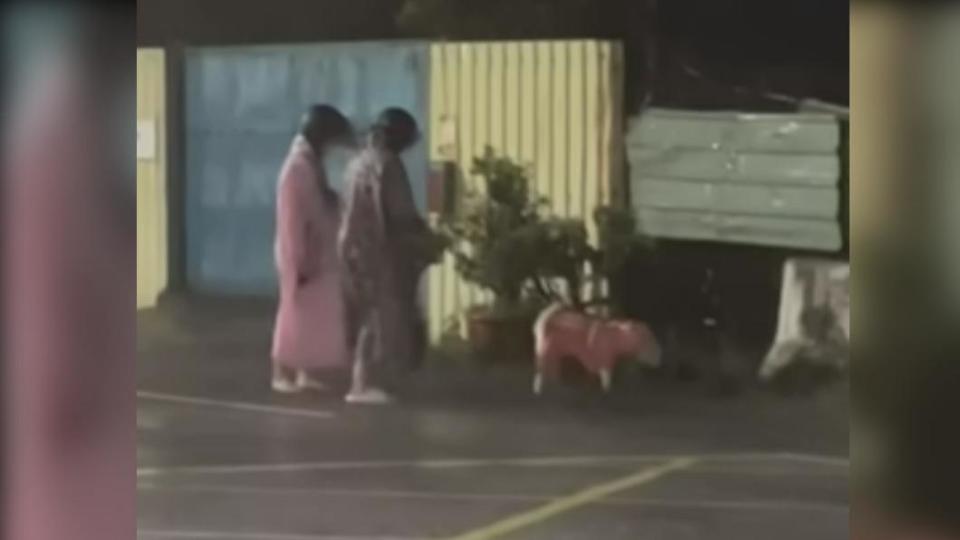 主子颱風天帶柴犬解放的辛酸影片曝光後，立即吸引1.4萬人搶看。（圖／翻攝自I AM 柴犬 TAKI影片）