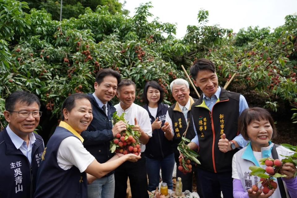 香山荔枝今年產量銳減，市府仍辦荔枝節促銷香山黑葉荔枝。（圖：市府提供）