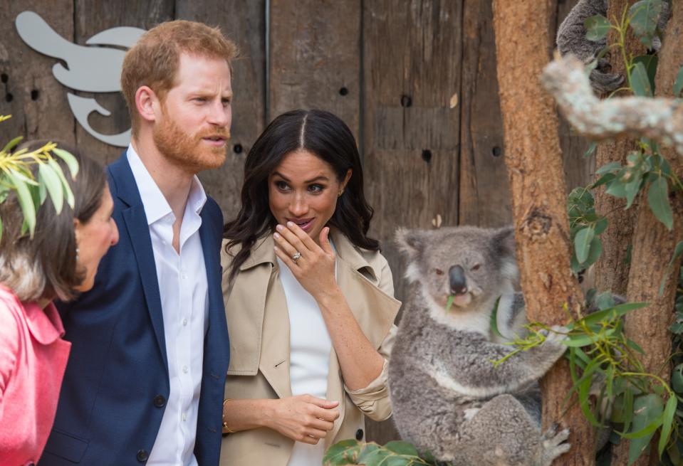 Prince Harry and Meghan Markle visited a koala at a Sydney Zoo, and the koala seemed unfazed by their presence. See the unimpressed koala here.