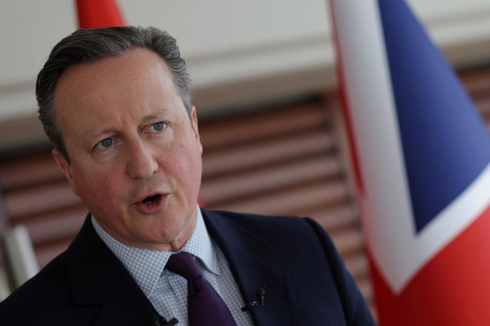 David Cameron sparked a fresh headache for Sunak by suggesting the UK could bring forward formal recognition of Palestine (Reuters)