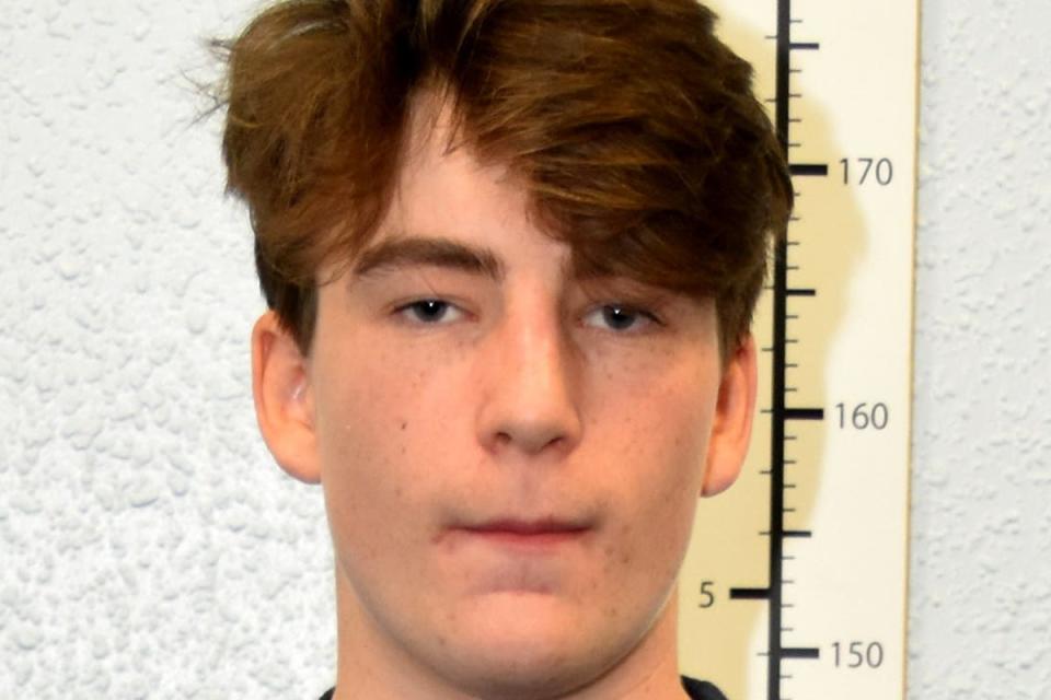 Harry Vaughan has been jailed for 38 months (Metropolitan Police/PA) (PA Media)