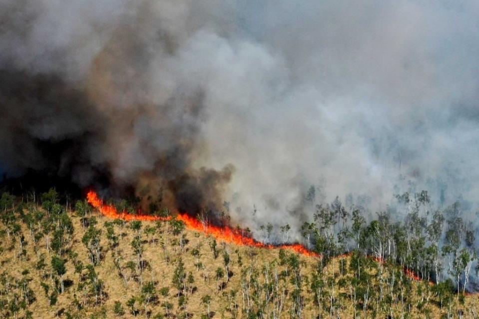 Blick auf eine Rauchwolke während eines Waldbrandes im Loben-Moor zwischen Gorden-Staupitz, Hohenleipisch und Plessa.<span class="copyright">Veit Rösler / dpa</span>